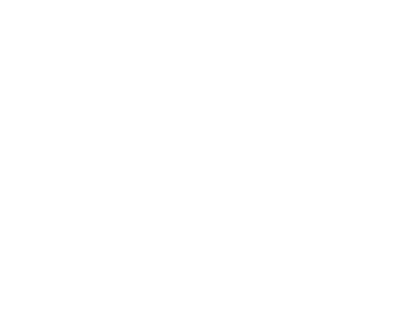 SHINES Web Studio